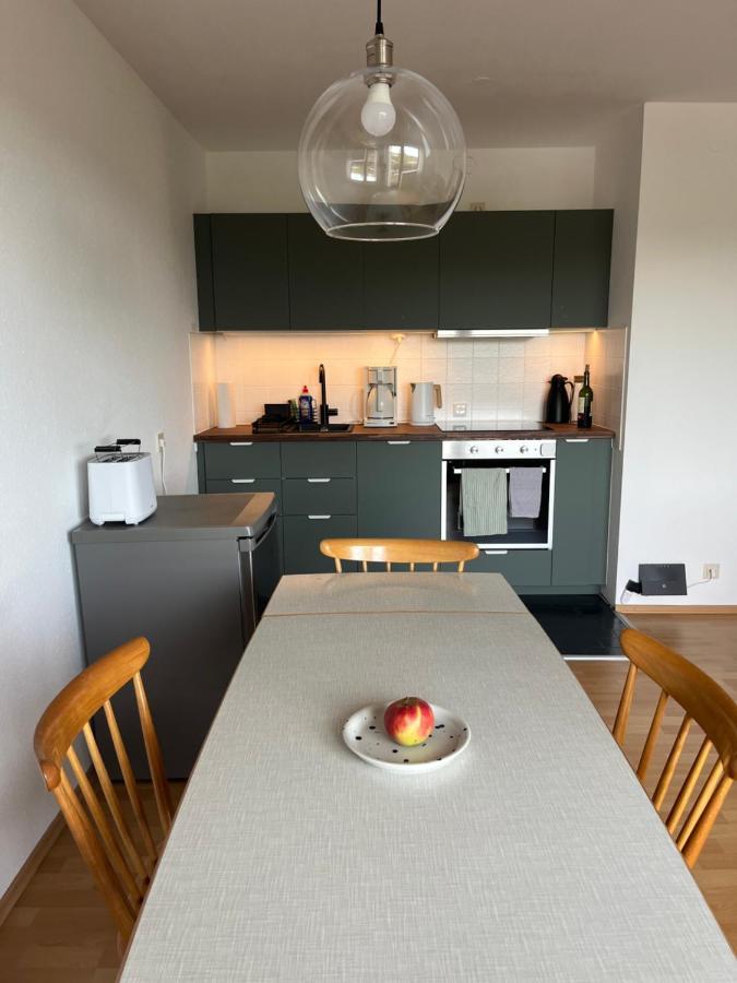 Helle Wohnung Mit Grossem Balkon Oberreute Kültér fotó