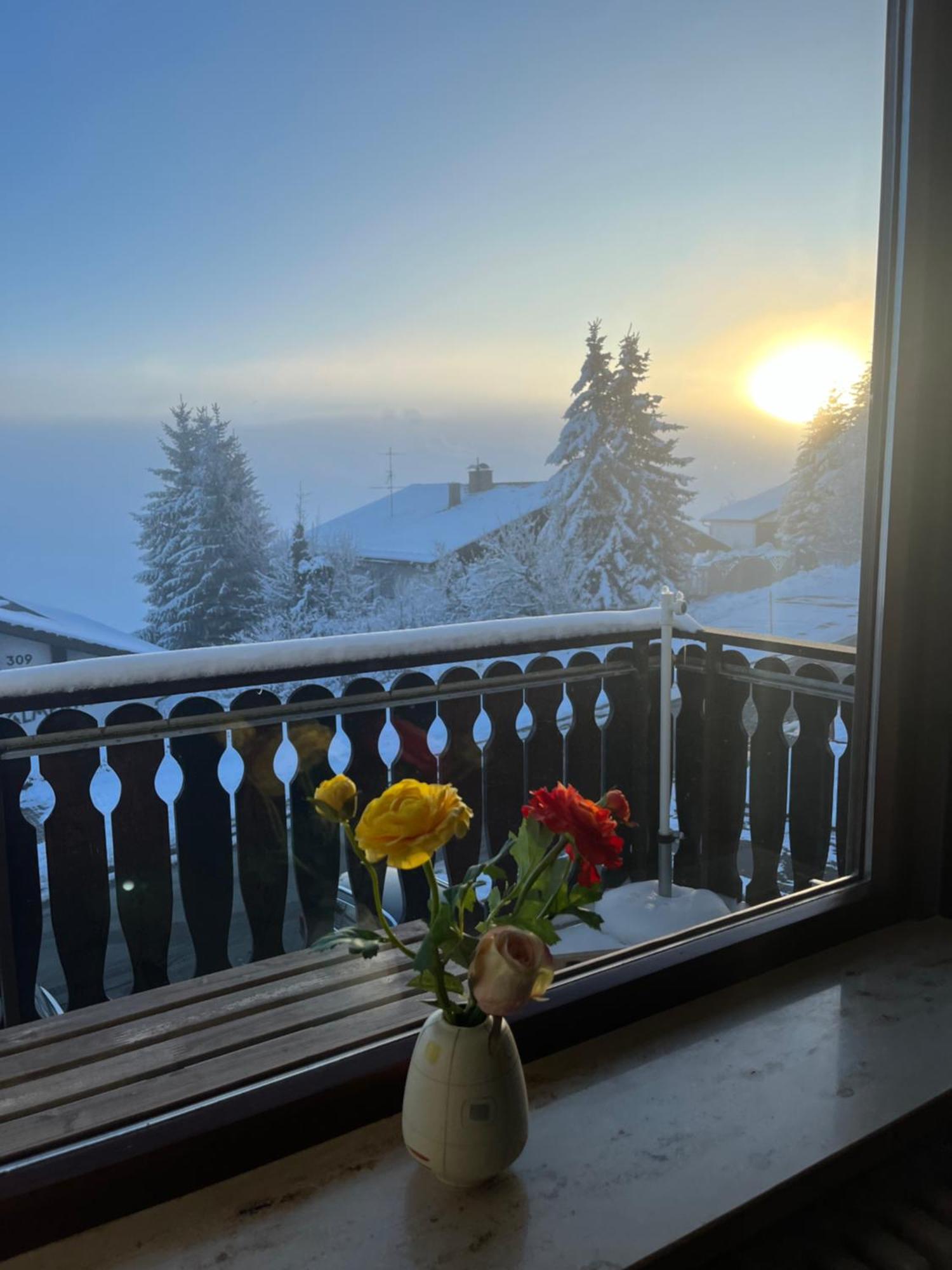 Helle Wohnung Mit Grossem Balkon Oberreute Kültér fotó